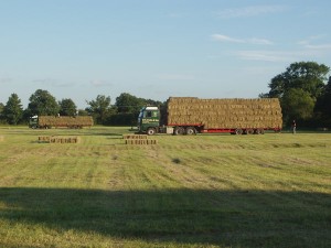 Hay bales loaded on to a transporter